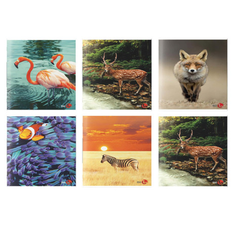 Maxiquaderno Animal fantasia - A4 - 1 rigo c/margine - 40+2 fogli - 80gr - BM