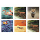 Maxiquaderno Animal fantasia - A4 - 10mm - 40+2 fogli - 80gr - BM