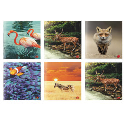 Maxiquaderno Animal fantasia - A4 - 10mm - 40+2 fogli - 80gr - BM