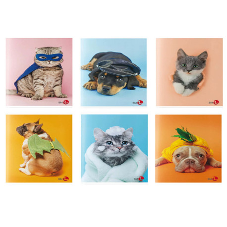Maxiquaderno Cute fantasia - A4 - 5mm c/margine - 40+2 fogli - 80gr - BM
