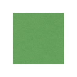 CANSON Iris Vivaldi - Carta - A4 - 50 fogli - verde chiaro - 185 g/m²