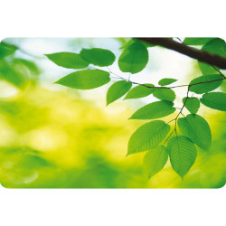 Mousepad Earth Series - Foglie - ecologico - Fellowes