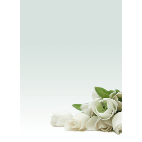Carta con stampa ''rosa bianca'' - A4 - 90 gr - Decadry - conf. 20 fogli