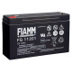 Batteria al piombo ricaricabile 6V 12Ah terminale faston 4.8 mm FIAMM FG11201 491460368