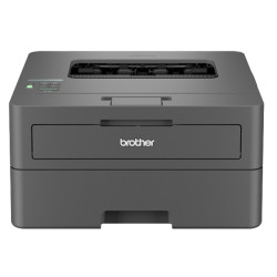 Brother - Stampante laser - monocromatica - HL-L2445DW