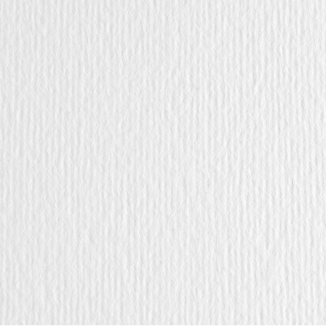 Cartoncino Elle Erre - 50x70cm - 220gr - bianco - Fabriano - blister 20 fogli