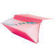 Portadocumenti a soffietto - 12 tasche - A4 - PP - colori assortiti - Colorosa