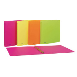 Raccoglitore neon - 22 x 30 cm - 4 anelli tondi 15 mm- PP - colori assortiti - Favorit