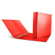 Raccoglitore Nettuno - 22 x 30 cm - 4 anelli a D 50 mm - dorso 7 cm - rosso - Sei Rota