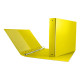 Raccoglitore Nettuno - 22 x 30 cm - 4 anelli a R 30 mm - dorso 3,5 cm - giallo - Sei Rota