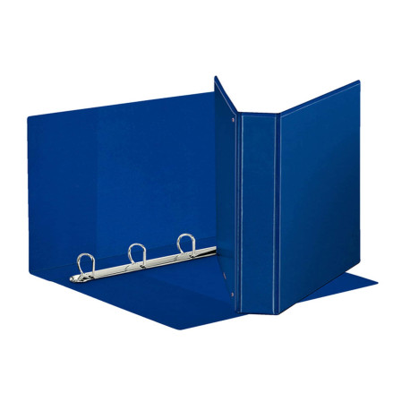 Raccoglitore personalizzabile Display - 22 x 30 cm - 4 anelli a D 30 mm - dorso 4,7 cm - blu - Esselte