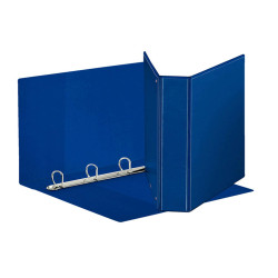 Raccoglitore personalizzabile Display - 22 x 30 cm - 4 anelli a D 40 mm - dorso 5,9 cm - blu - Esselte