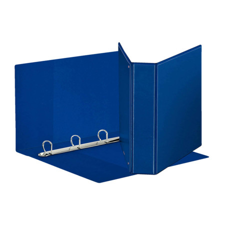 Raccoglitore personalizzabile Display - 22 x 30 cm - 4 anelli a D 40 mm - dorso 5,9 cm - blu - Esselte