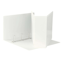 Raccoglitore personalizzabile Display - 22 x 30 cm - 4 anelli quadri 65 mm - bianco - Esselte