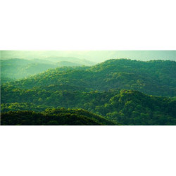 Dell Technologies S3225QS Dell 32 Plus 4K