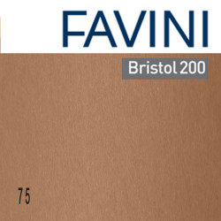 Cartoncino Bristol Color - 50 x 70 cm - 200 gr - marrone 75 - Favini - conf. 25 fogli