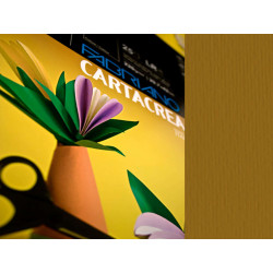 Cartoncino CartaCrea - 35 x 50 cm - 220 gr - marrone 106 - Fabriano - blister 10 fogli