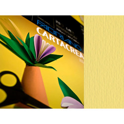 Cartoncino CartaCrea - 35 x 50 cm - 220 gr - onice 117 - Fabriano - blister 10 fogli