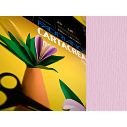 Cartoncino CartaCrea - 35 x 50 cm - 220 gr - rosa 116 - Fabriano - blister 10 fogli