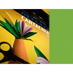Cartoncino CartaCrea - 35 x 50 cm - 220 gr - verde 111 - Fabriano - blister 10 fogli