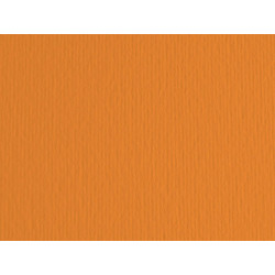 Cartoncino Elle Erre - 50 x 70 cm - 220 gr - arancio 108 - Fabriano - blister 20 fogli
