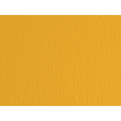 Cartoncino Elle Erre - 50 x 70 cm - 220 gr - avana 103 - Fabriano - blister 20 fogli