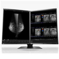 Eizo RadiForce RX560-MD