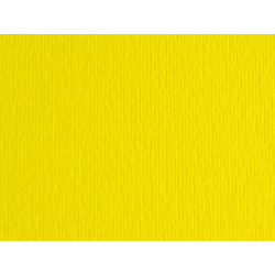 Cartoncino Elle Erre - 50 x 70 cm - 220 gr - giallo 107 - Fabriano - blister 20 fogli