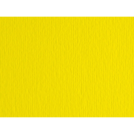 Cartoncino Elle Erre - 50 x 70 cm - 220 gr - giallo 107 - Fabriano - blister 20 fogli