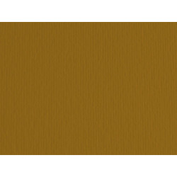 Cartoncino Elle Erre - 50 x 70 cm - 220 gr - marrone 106 - Fabriano - blister 20 fogli