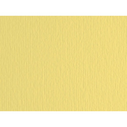 Cartoncino Elle Erre - 50 x 70 cm - 220 gr - onice 117 - Fabriano - blister 20 fogli