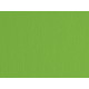 Cartoncino Elle Erre - 50 x 70 cm - 220 gr - verde 111 - Fabriano - blister 20 fogli