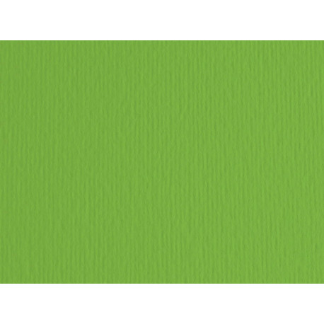 Cartoncino Elle Erre - 50 x 70 cm - 220 gr - verde 111 - Fabriano - blister 20 fogli