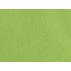 Cartoncino Elle Erre - 50 x 70 cm - 220 gr - verde pisello 110 - Fabriano - blister 20 fogli