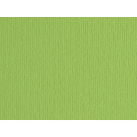 Cartoncino Elle Erre - 50 x 70 cm - 220 gr - verde pisello 110 - Fabriano - blister 20 fogli