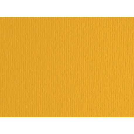 Cartoncino Elle Erre - 70 x 100 cm - 220 gr - avana 103 - Fabriano - blister 10 fogli