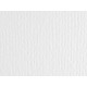 Cartoncino Elle Erre - 70 x 100 cm - 220 gr - bianco - Fabriano - blister 10 fogli