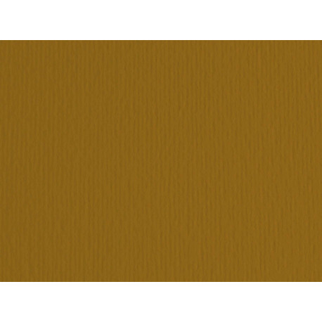Cartoncino Elle Erre - 70 x 100 cm - 220 gr - marrone 106 - Fabriano - blister 10 fogli