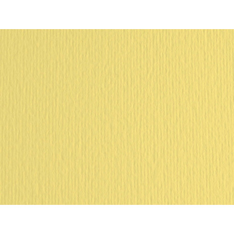 Cartoncino Elle Erre - 70 x 100 cm - 220 gr - onice 117 - Fabriano - blister 10 fogli
