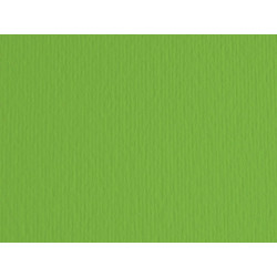 Cartoncino Elle Erre - 70 x 100 cm - 220 gr - verde 111 - Fabriano - blister 10 fogli