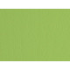 Cartoncino Elle Erre - 70 x 100 cm - 220 gr - verde pisello 110 - Fabriano - blister 10 fogli