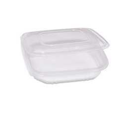 Contenitori in PP - con coperchio incernierato - 21,5 x 21,5 x 3,4 cm - Europack - pack 50 pezzi