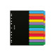 Separatore Dox - 12 tasti neutri colorati - cartoncino 240 gr - A4 - multicolore - Esselte Dox