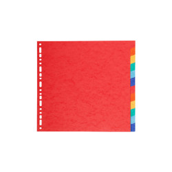 Separatore Forever - 12 tacche - cartoncino riciclato 220 gr - A4 maxi - multicolore - Exacompta
