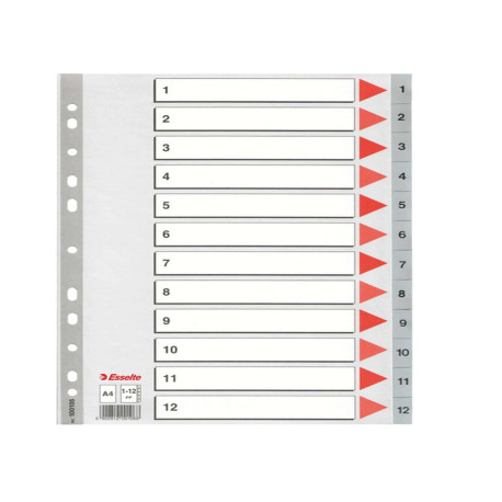 Separatore numerico 1/12 - PP - A4 - 22,5x29,7 cm - grigio - Esselte