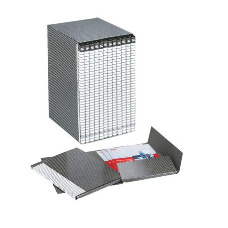 Gruppo Delso Line - 25 x 32 cm - 12 cartelle 2 lembi - con custodia - dorso 1,5 cm - Esselte