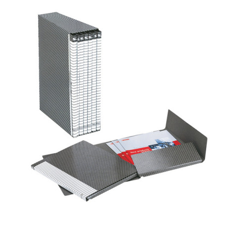 Gruppo Delso Line - 25 x 32 cm - 6 cartelle 2 lembi - con custodia - dorso 1,5 cm - grigio - Esselte