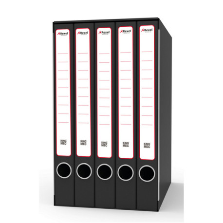 Gruppo registratori Quintetto - 23 x 32 cm - con 5 cartelle 3 lembi - dorso 23 cm - grigio - Rexel