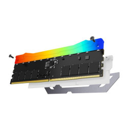 Kingston Renegade RGB