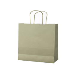 Shopper Twisted - maniglie cordino - 22 x 10 x 29 cm - carta kraft - salvia - Mainetti Bags - conf. 25 pezzi